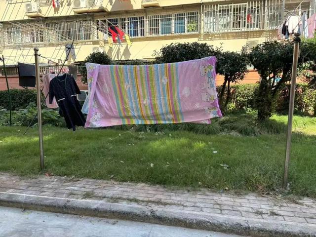 向心力提升居民幸福感凯发一触即发文明凝聚(图1)